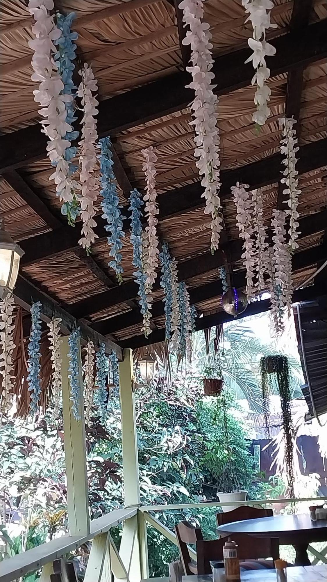 La Famosa Costillas A La Lena Jarabacoa Exterior foto