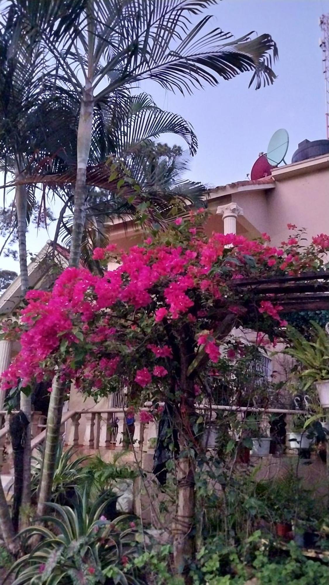 La Famosa Costillas A La Lena Jarabacoa Exterior foto